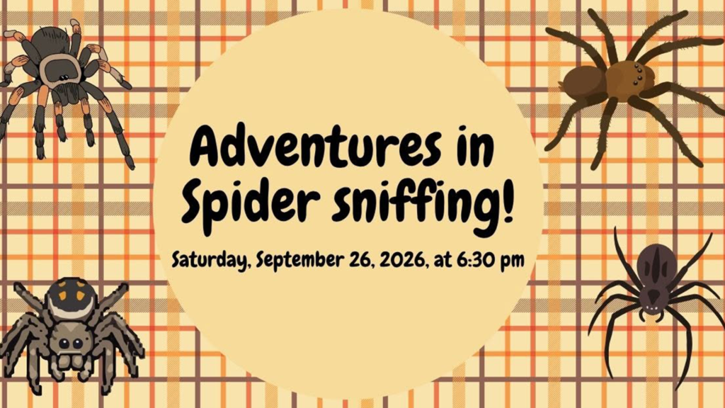 Adventures in Spider Sniffing